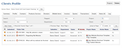 wbTeamPro Client Profile Ticket Display